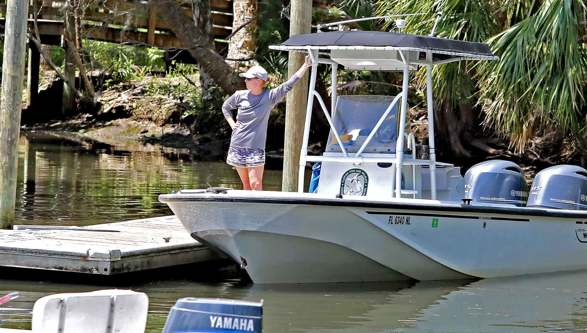 FWC Scallop Survey 4